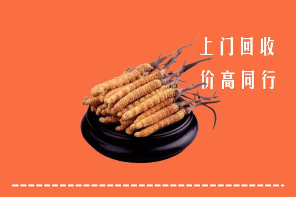 高价求购：清原县回收散虫草