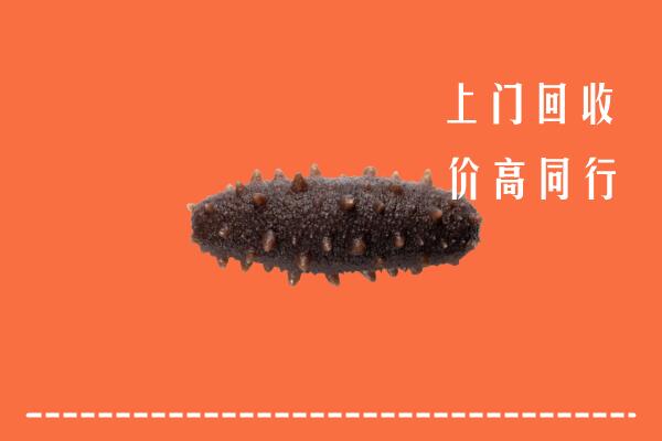 清原县回收海参