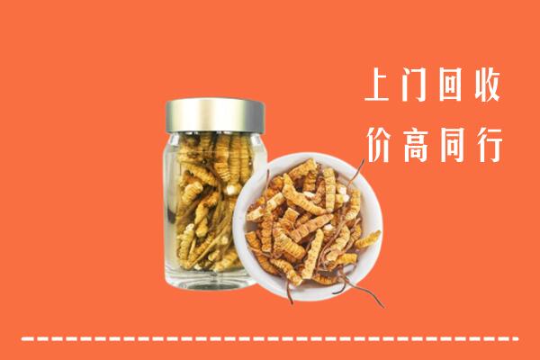 清原县回收冬虫夏草